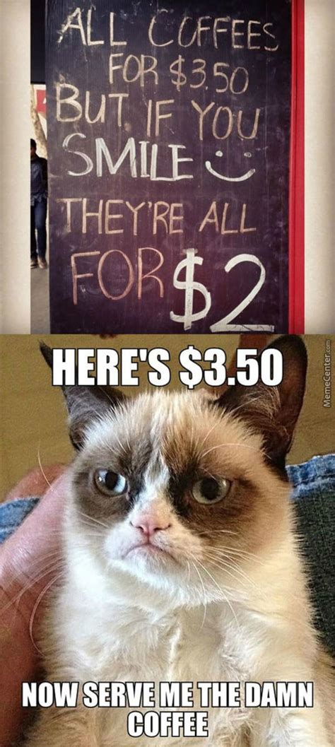 grumpy cat wants his damn coffee grumpy cat know your meme