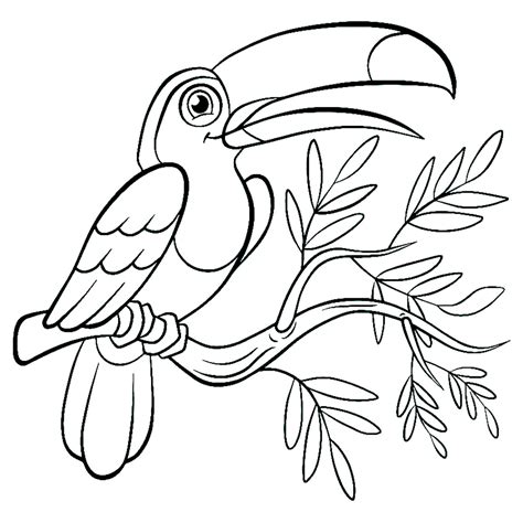 toucan birds kids coloring pages