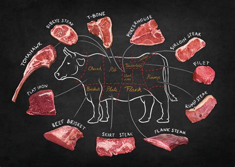 beef cuts chart  diagram  meat     gourmet market