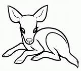 Deer Coloring Baby Pages Printable Kids Drawings Clipart Drawing Cute Easy Animals Draw Color Cartoon Print Animal Sketch Adults Popular sketch template
