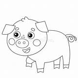 Piggy Ferme Coloration Bande Porcin Dessinée sketch template