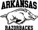Arkansas Razorbacks Silhouette Football Coloring Razorback Pages Logo Clipart Printable Custom College Svg Shirt Screen Hog Outline Printed Stencil Etsy sketch template