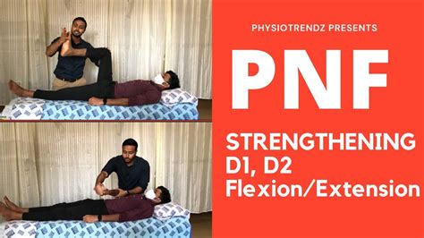 pnf strengthening technique   flexion extension  upper