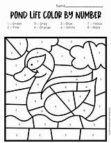 Pond Number Color Worksheets Preschool Swimming Comment Leave sketch template