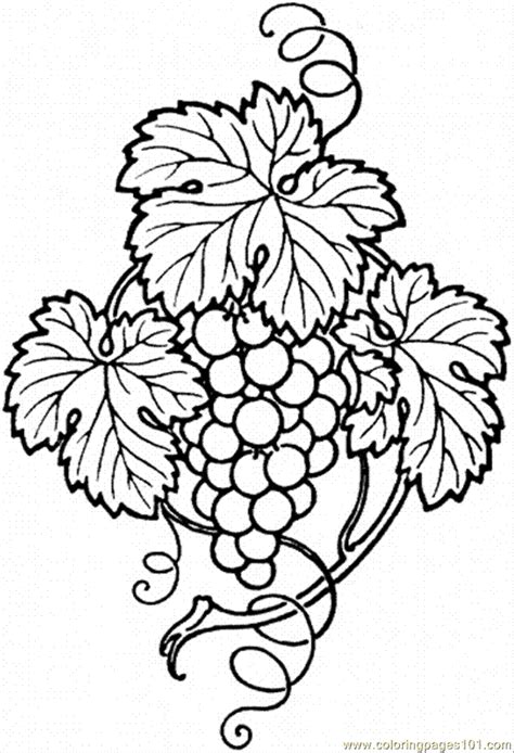 fall coloring pages pages grape  food fruits grapes
