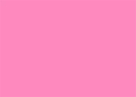 enjoy  beauty   solid pink background wallpaperscom