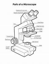 Microscope Drawing Template Diagram Printable Getdrawings sketch template