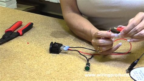 wiring   lighted toggle switch shelly lighting