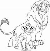 Lion Kion Simba Coloring Roi Kolorowanki Colorare Disegni Lwia Fuli Straz Guardia Coloriages León Cartonionline Coloringareas sketch template