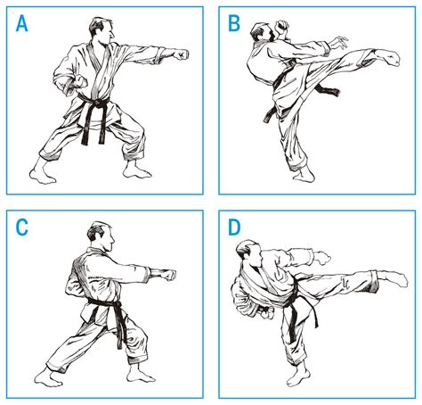description  karate specific aerobic test ksat   front arm