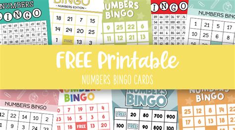 printable bingo cards    infoupdateorg