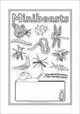 Topic Book Sparklebox Printable Minibeasts Covers Cover sketch template