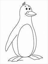 Penguin sketch template