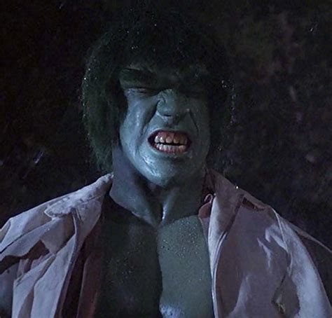 Incredible Hulk Tv Series Bill Bixby Lou Ferrigno