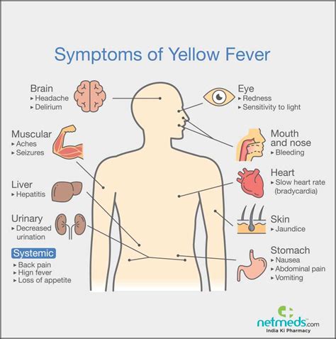 Yellow Fever Causes Symptoms And Treatment Netmeds