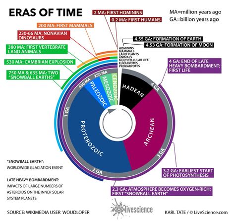 eras of time since the beginning infographic live science