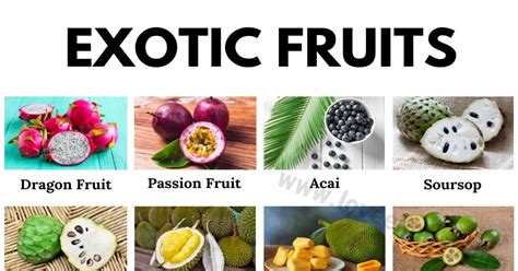 exotic fruits   world love english