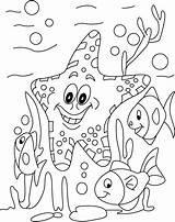 Coloring Starfish Fish Pages Kids Printable Animal Sea Along Other Sheets Colouring Star Ocean Cartoon Wodne Zwierzęta Kolorowanki Labels Letscolorit sketch template