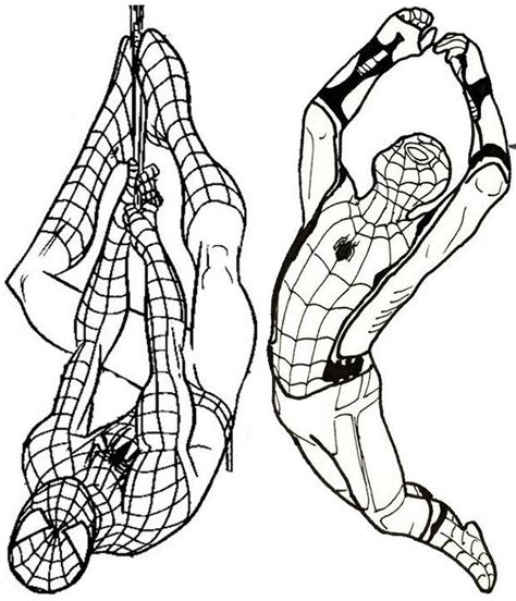 spider man   home  action coloring page spider coloring page