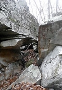 Image result for Barbours Creek Wilderness. Size: 129 x 185. Source: www.vawilderness.org