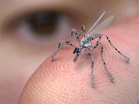 news man remote controlled mosquito sized flying spy drone photo  mark   beast chip