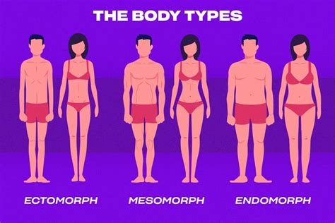 main male body types