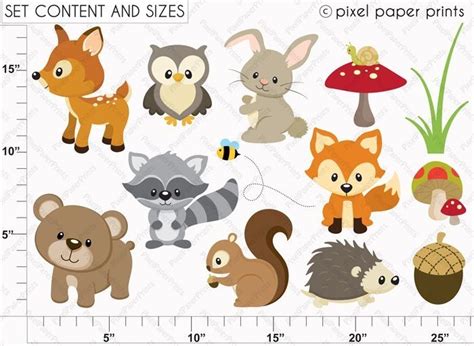 animal clipart buscar   images woodland animals