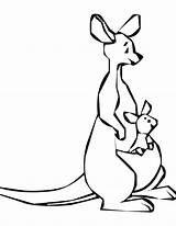 Coloring Roo Pages Kanga Kangaroo Pooh Printable Popular Colouring Clipartmag Books Clipart Template Coloringhome sketch template