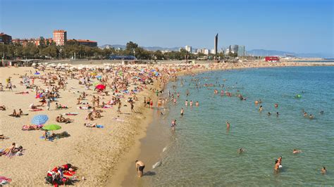 Cheapest Time To Fly To Barcelona In 2019 Skyscanner