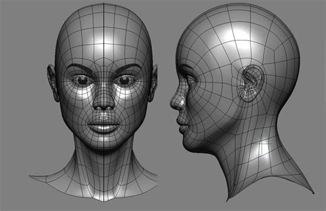 face topology topology face blender