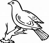 Doves Getdrawings sketch template