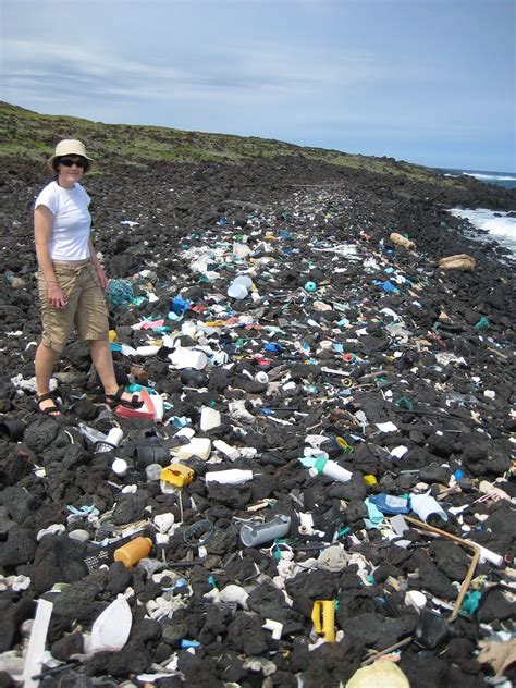 researchers map plastic debris  pacific ocean science world