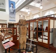 人類學與考古學 的圖片結果. 大小：194 x 181。資料來源：booking-campus-museum.ntu.edu.tw