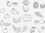 Fruit Coloring Pages Salad Printable Drawing Fruits Kids Color Print Sheets Sheet Cute Food Papaya Tree Easy Apple Getcolorings Awesome sketch template