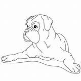 Boxer Coloring Pages Puppy Dog Drawing Drawings Draw Cute Line Dogs Printable Fun Color Animal Easy Kids Colouring Getcolorings Paintingvalley sketch template