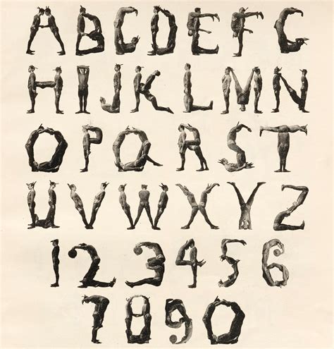 letterforms humanforms letterform archive