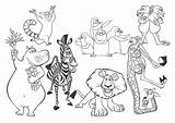 Madagascar Madagaskar Bajki Bohaterowie Pinguine Kolorowanki Penguins Kolorowanka Druku Print Desenho Pokoloruj Drukowanka Pingwiny Coloringbay Personagens Colorironline Wszystkich Coloringhome sketch template