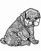 Volwassen Pudgy Zentangle Hondje sketch template