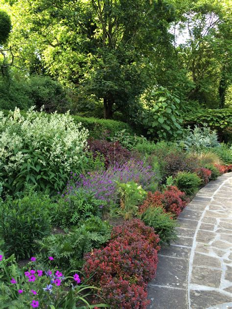 border planting  surrey quays  salter garden london beautiful