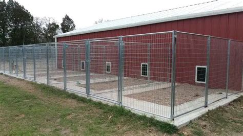 outdoor dog kennel ideas page   paws