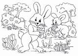 Ausmalen Ostern Uova Malvorlage Osterhase Ausmalbild Pasqua Osterhasen Archzine Hase Osterbilder 101activity Pasquali Pinnwand Coniglio sketch template