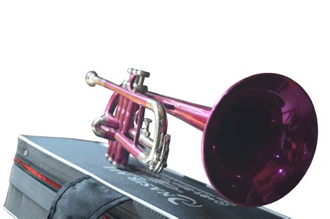 trumpet pink nasir ali musicals