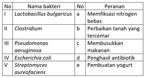 perhatikan tabel nama bakteri  perannya berikut