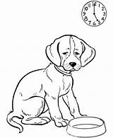 Dog Hungry Coloring Pet Waiting Meal His So sketch template