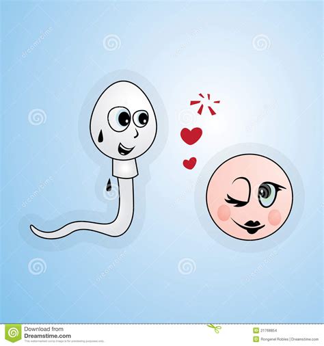 sperm and egg stock images image 21768854