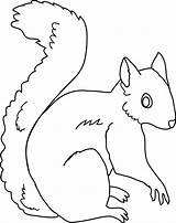 Squirrel Clipart Outline Cute Clip Color Coloring Transparent Line Cliparts Arts Library Clipground Sweetclipart Attribution Forget Link Don Webstockreview sketch template