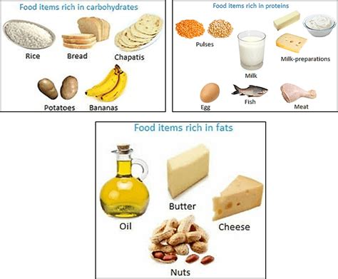 ncert class vi science solutions chapter  components  food part