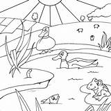 Pond Fish Coloring Pages Printable Drawing Colouring Frog Ducks Getdrawings River Template sketch template