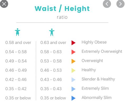 waist  height ratio calculator whtr calculator calculator academy