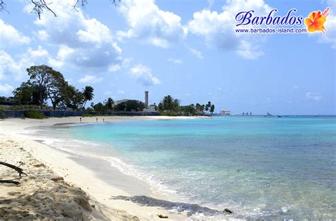 Paradise Beach In Barbados The Barbados Experience